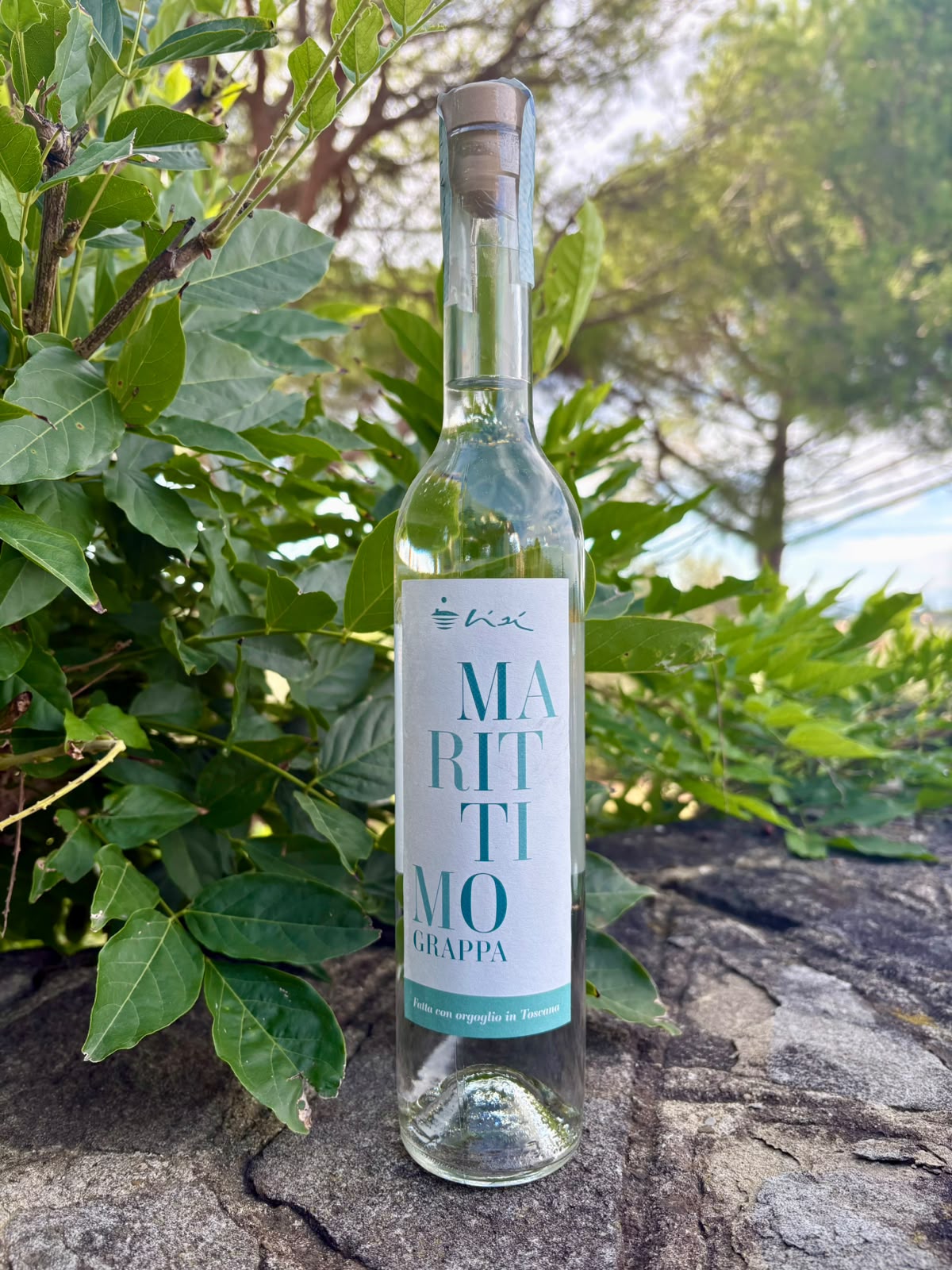 Marittimo - Grappa Giovane