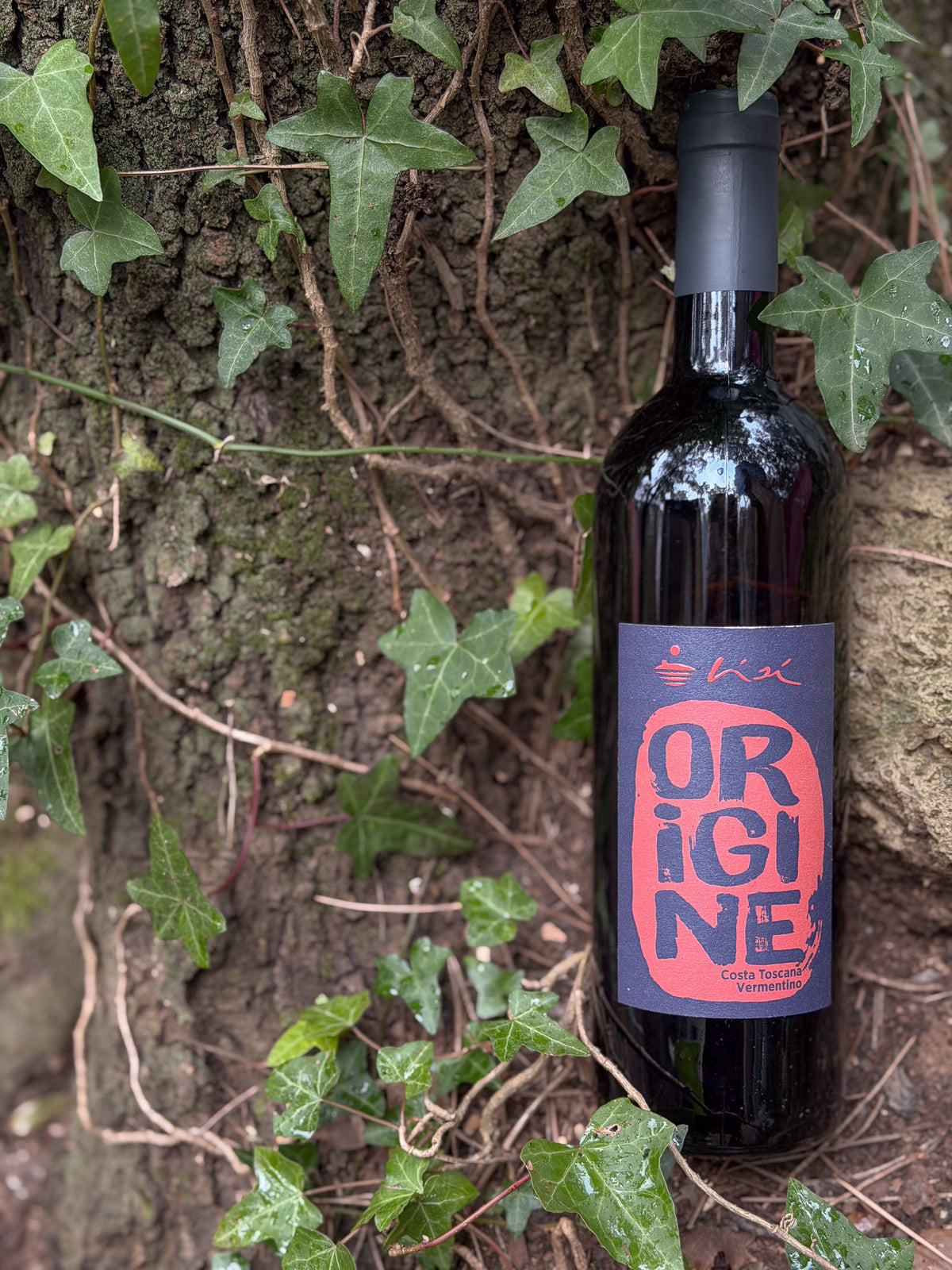 Origine - Rosso