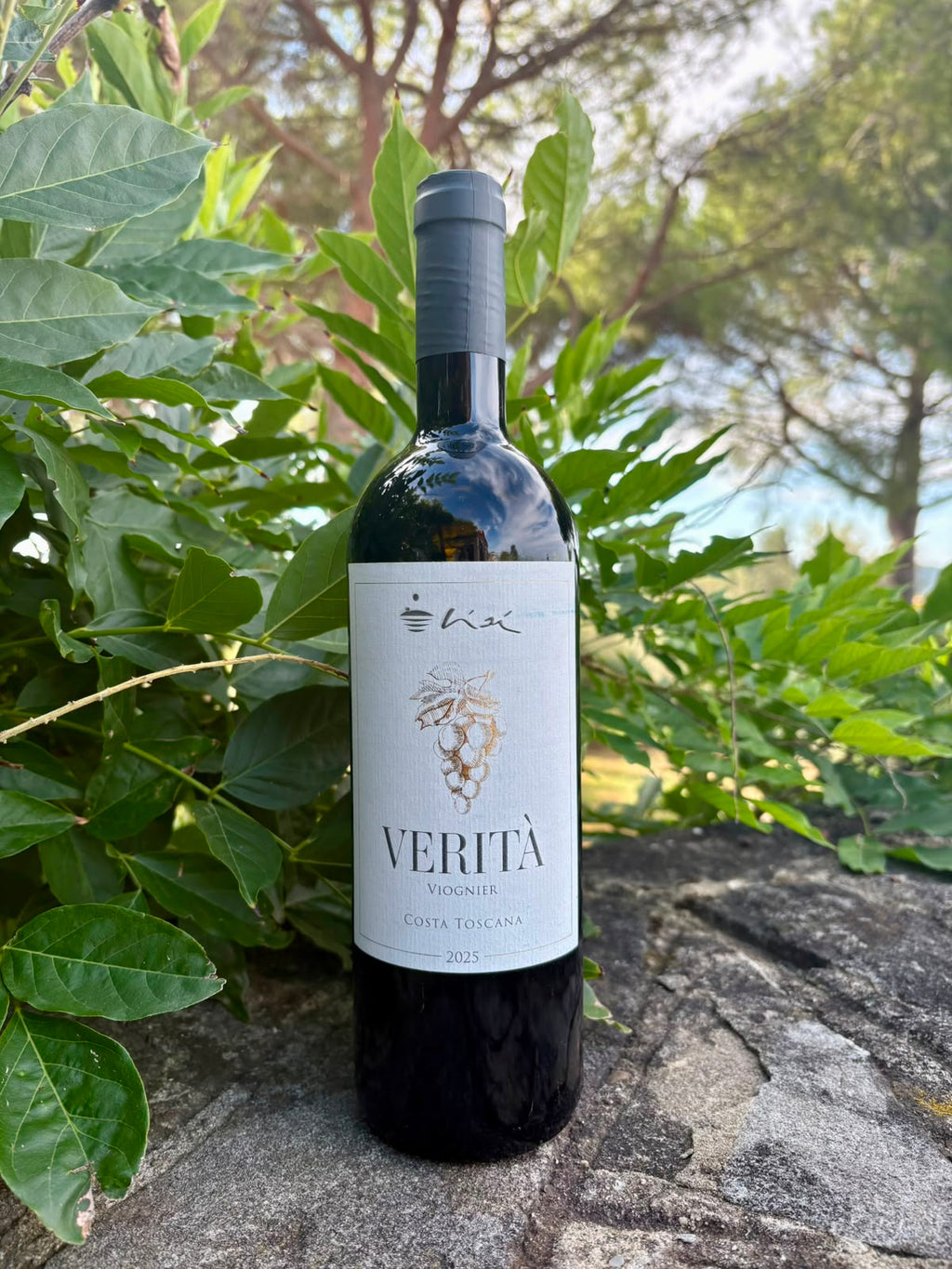 Verità - Viognier Costa Toscana